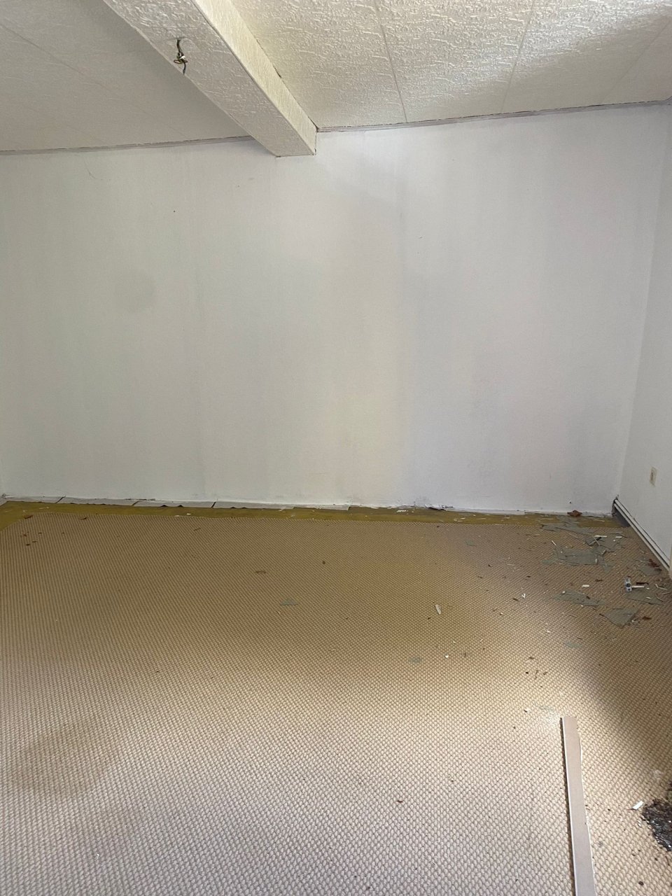 Foto der Immobilie (9485)