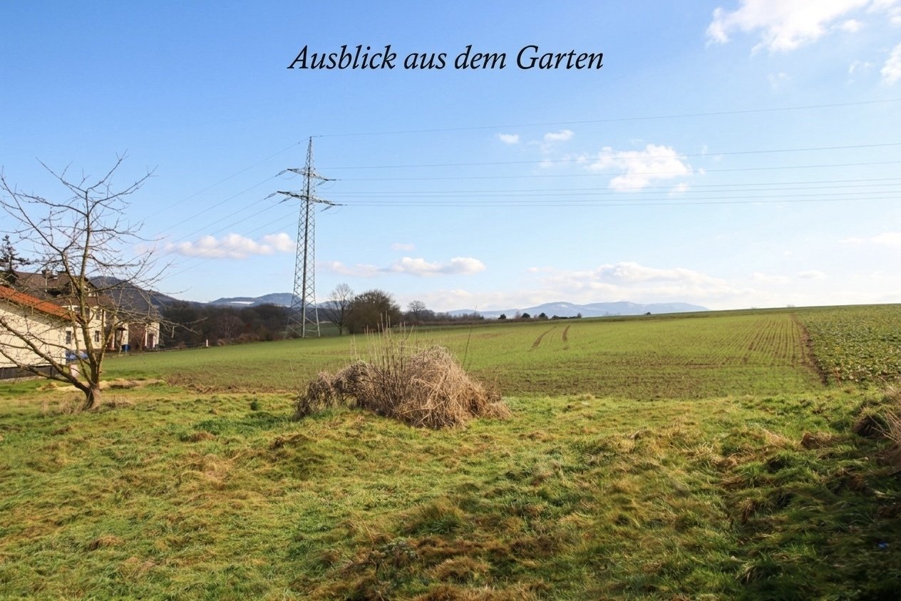Foto der Immobilie (11295)