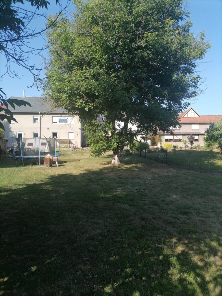 Foto der Immobilie (11316)