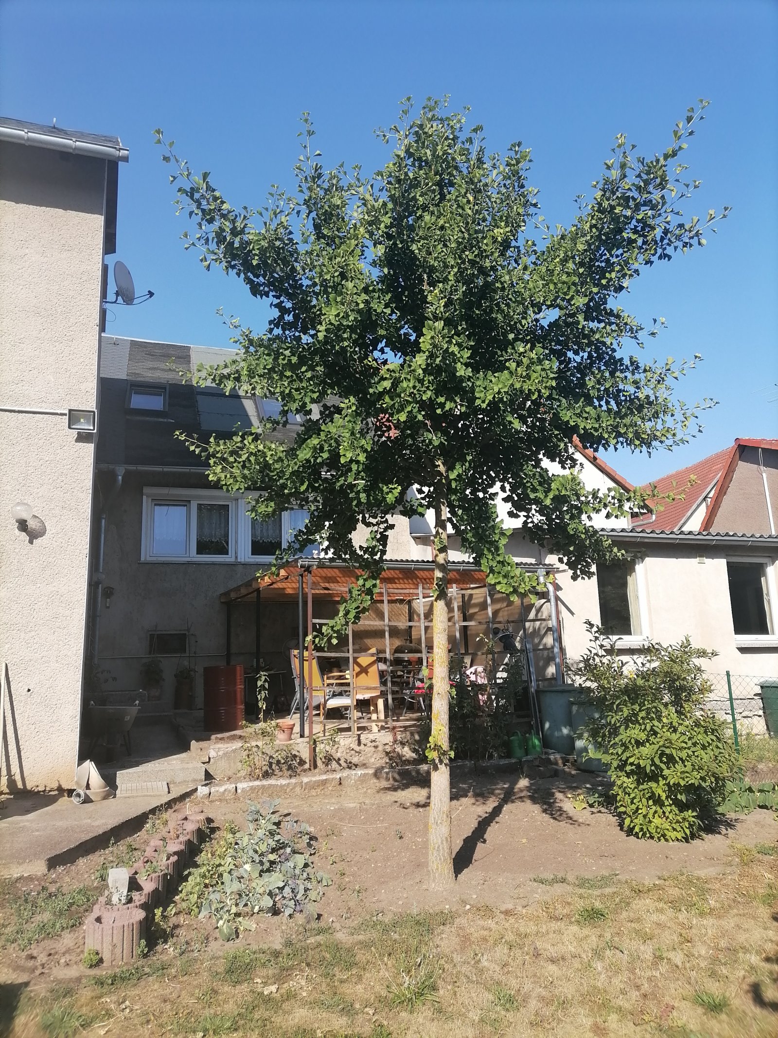 Foto der Immobilie (11320)