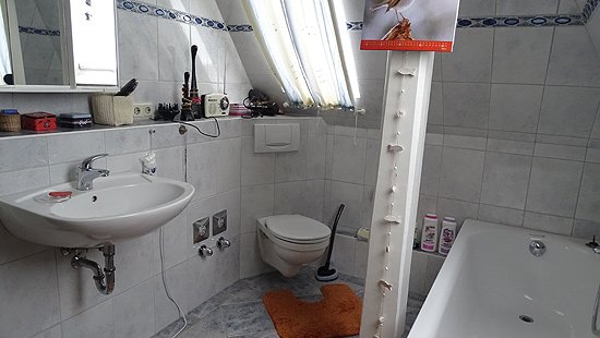 Foto der Immobilie (9339)