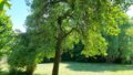Foto der Immobilie (12051)
